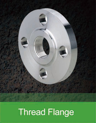 Roestvrij staal SA-182 F 304 316 Pipe Flange